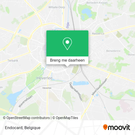 Endocard kaart