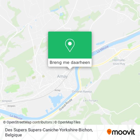 Des Supers Supers-Caniche-Yorkshire-Bichon kaart