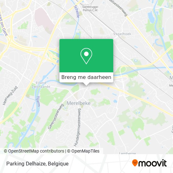 Parking Delhaize kaart