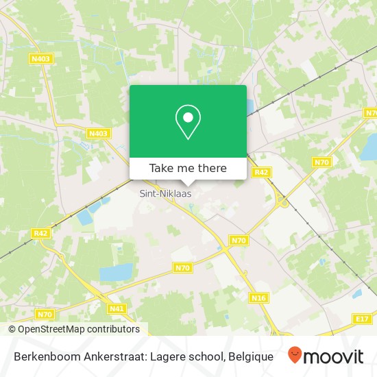 Berkenboom Ankerstraat: Lagere school kaart