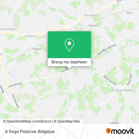 A Dogs Purpose kaart