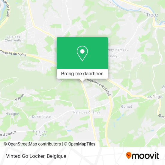 Vinted Go Locker kaart
