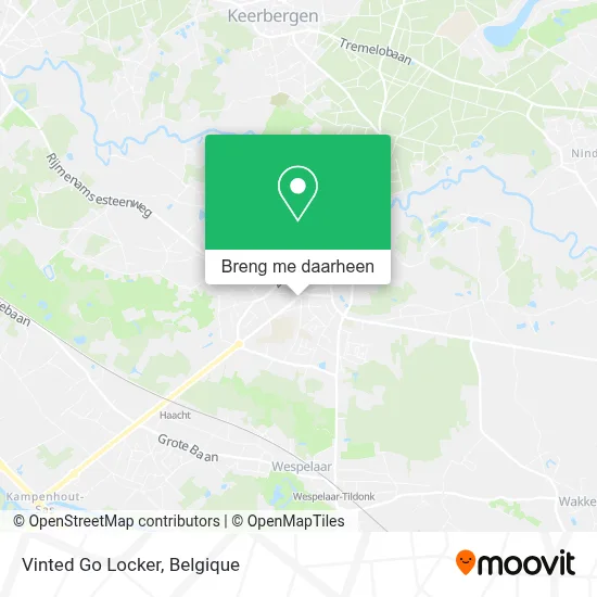 Vinted Go Locker kaart