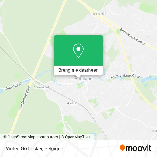 Vinted Go Locker kaart
