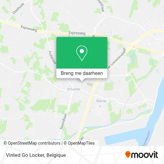 Vinted Go Locker kaart