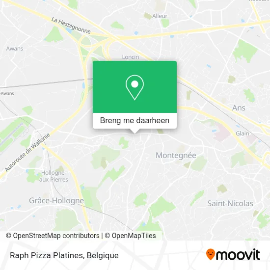Raph Pizza Platines kaart