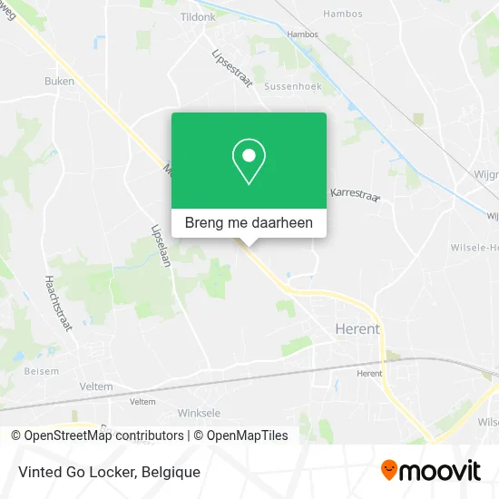 Vinted Go Locker kaart