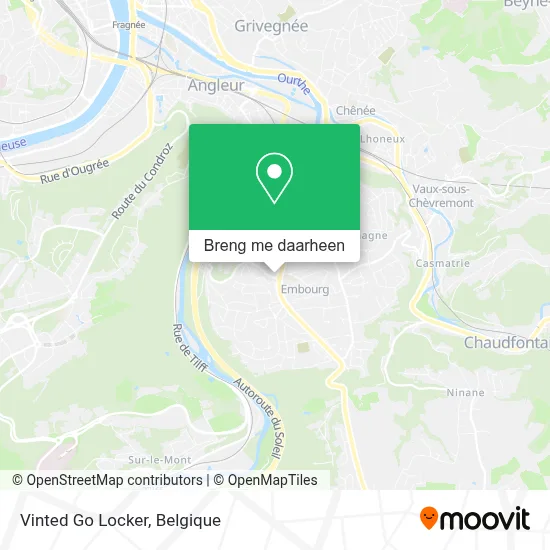 Vinted Go Locker kaart