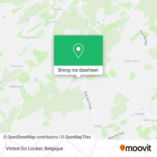 Vinted Go Locker kaart
