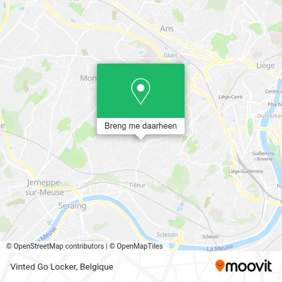 Vinted Go Locker kaart