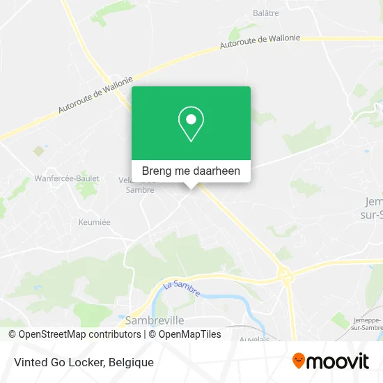Vinted Go Locker kaart