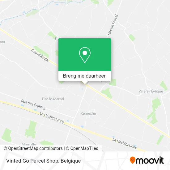 Vinted Go Parcel Shop kaart