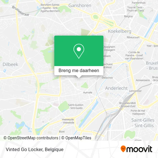Vinted Go Locker kaart