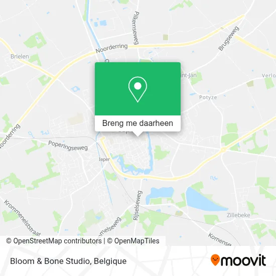 Bloom & Bone Studio kaart