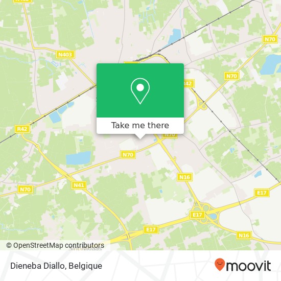 Dieneba Diallo, Schoolstraat 270 9100 Sint-Niklaas kaart