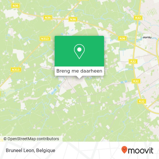 Bruneel Leon kaart
