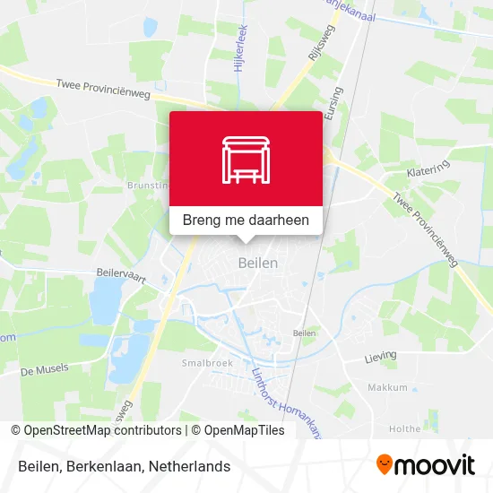Beilen, Berkenlaan kaart