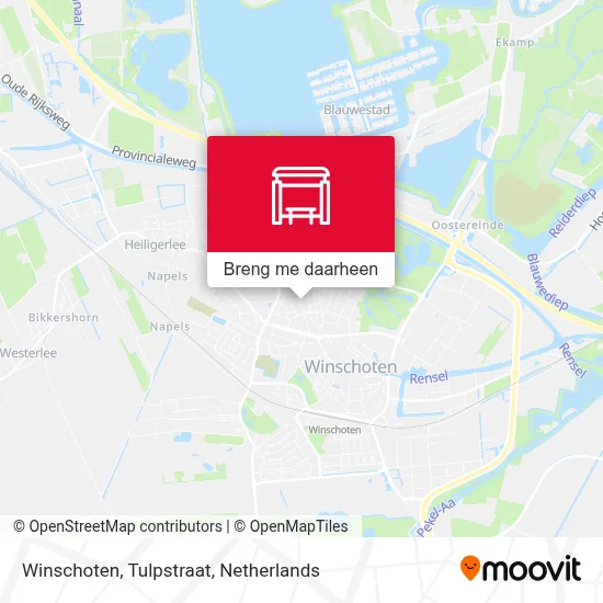 Winschoten, Tulpstraat kaart