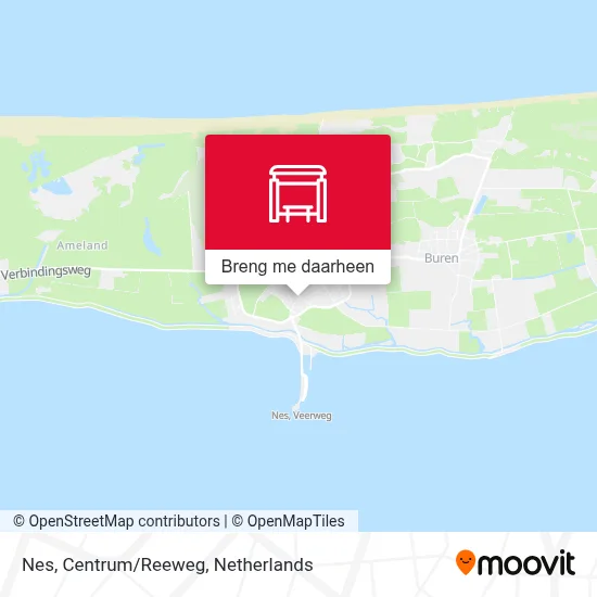 Nes, Centrum/Reeweg kaart