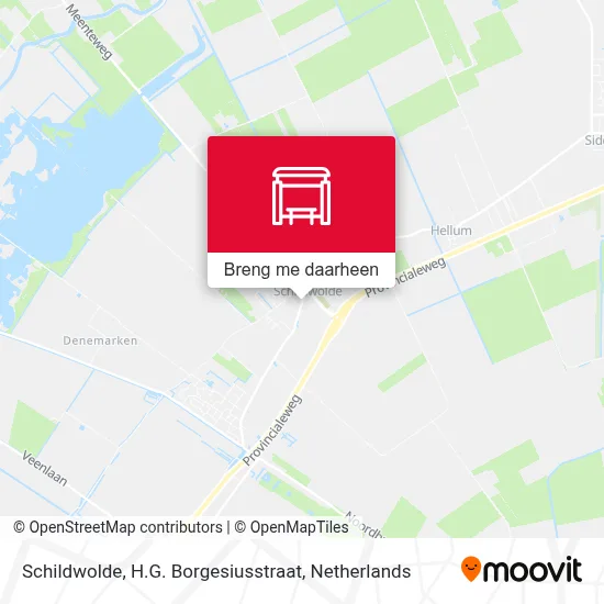 Schildwolde, H.G. Borgesiusstraat kaart