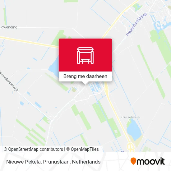 Nieuwe Pekela, Prunuslaan kaart
