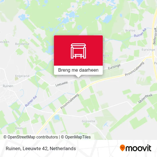Ruinen, Leeuwte 42 kaart