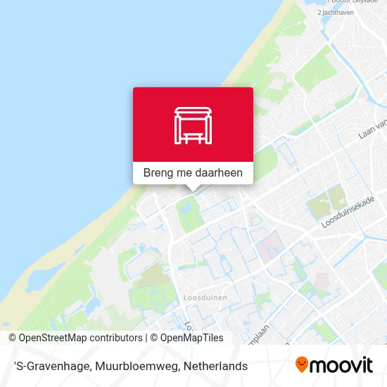 'S-Gravenhage, Muurbloemweg kaart