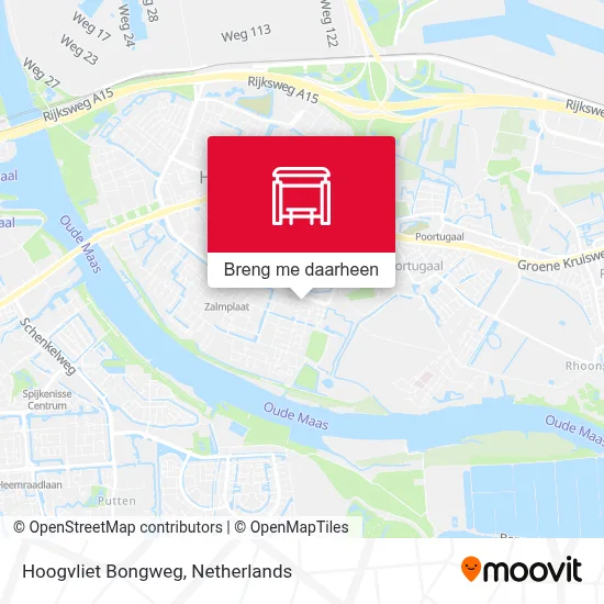 Hoogvliet Bongweg kaart