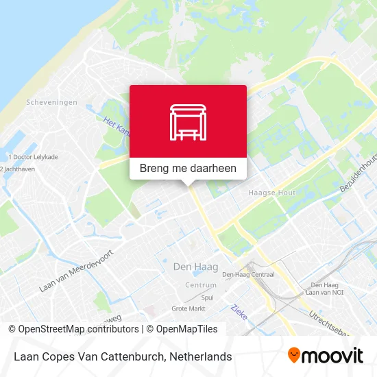 Laan Copes Van Cattenburch kaart