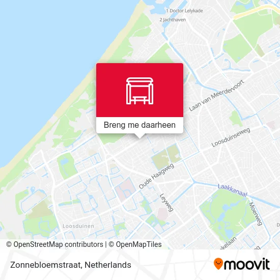 Zonnebloemstraat kaart