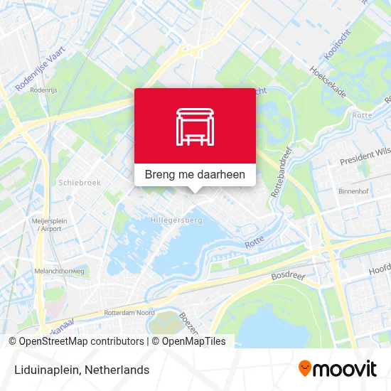 Liduinaplein kaart