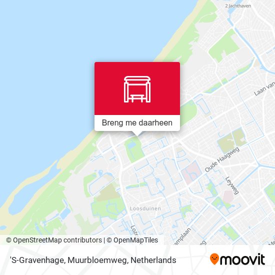 'S-Gravenhage, Muurbloemweg kaart