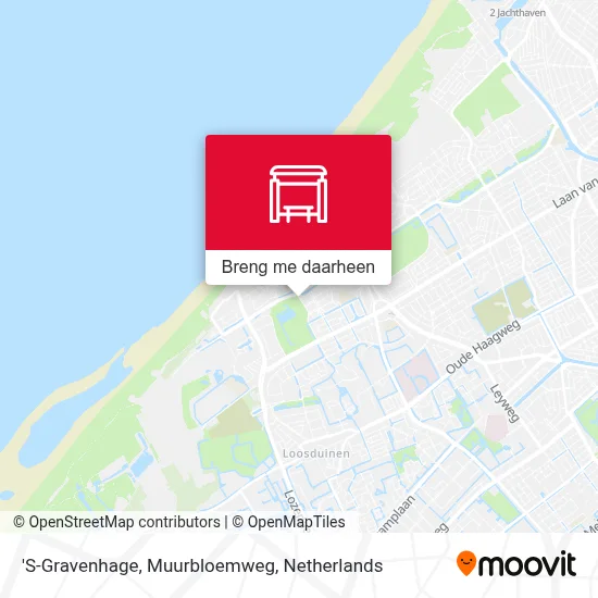 'S-Gravenhage, Muurbloemweg kaart