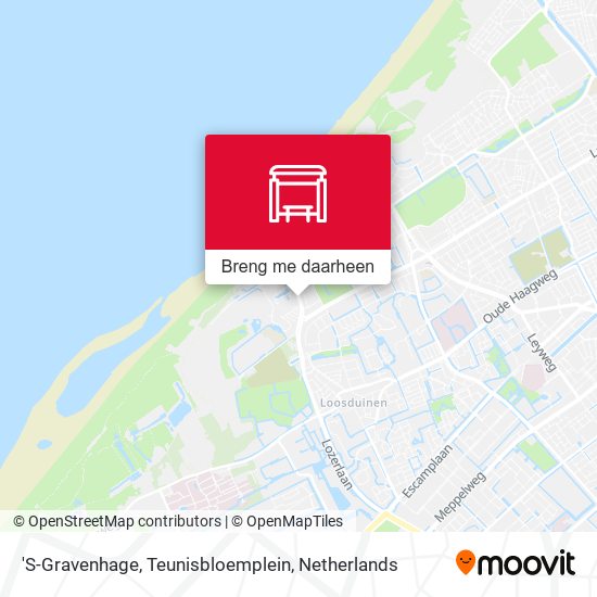 'S-Gravenhage, Teunisbloemplein kaart