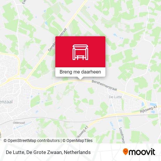 De Lutte, De Grote Zwaan kaart