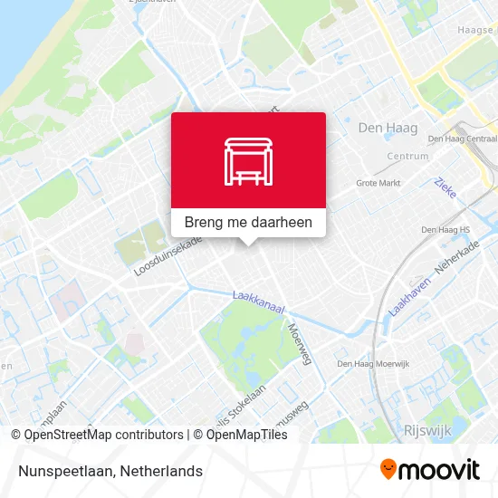 Nunspeetlaan kaart