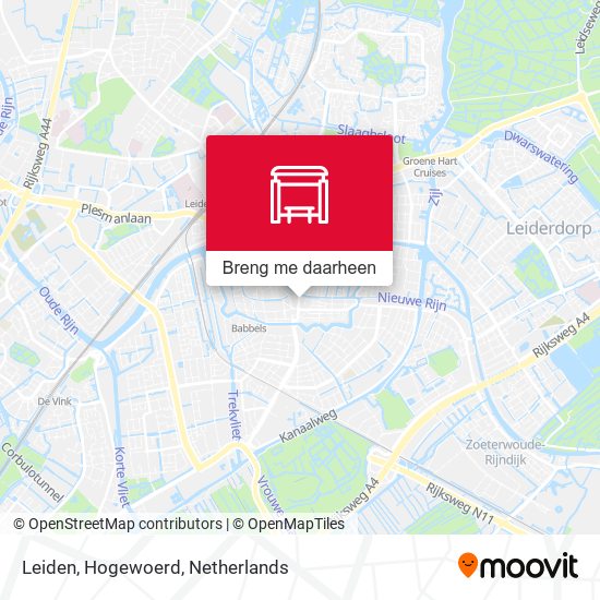 Leiden, Hogewoerd kaart