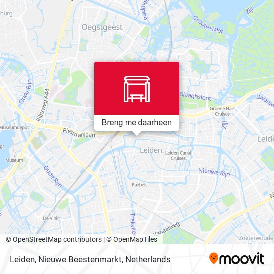 Leiden, Nieuwe Beestenmarkt kaart