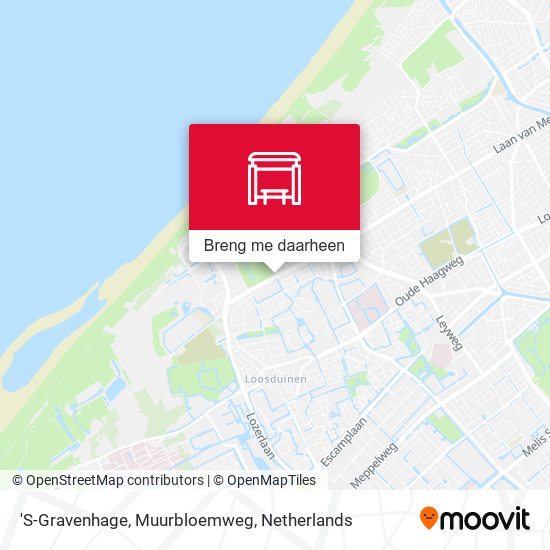 'S-Gravenhage, Muurbloemweg kaart