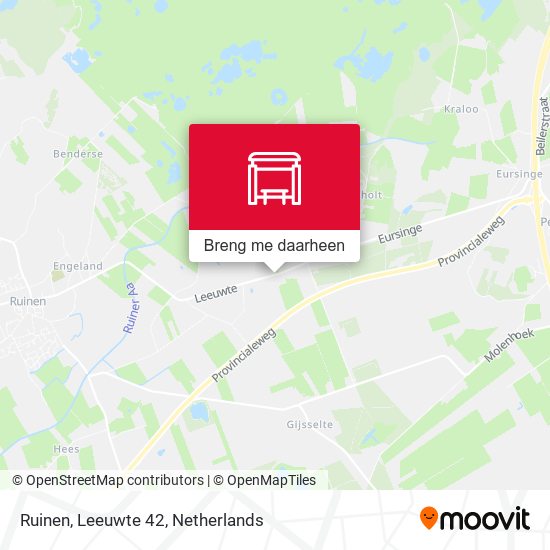 Ruinen, Leeuwte 42 kaart