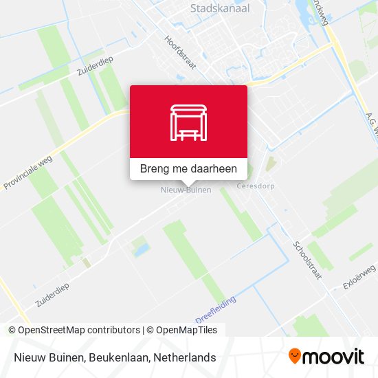 Nieuw Buinen, Beukenlaan kaart