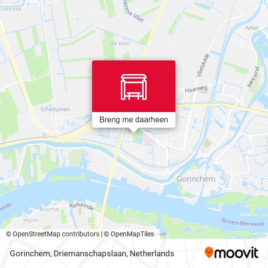 Gorinchem, Driemanschapslaan kaart