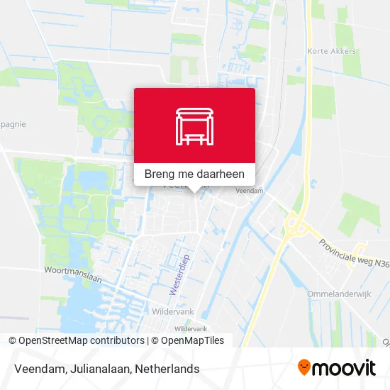 Veendam, Julianalaan kaart