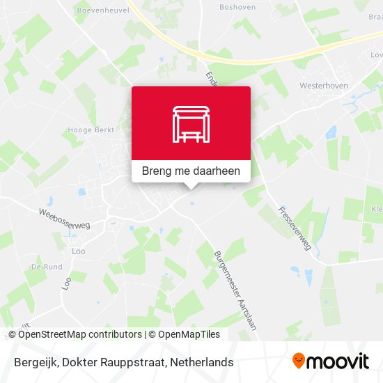 Bergeijk, Dokter Rauppstraat kaart