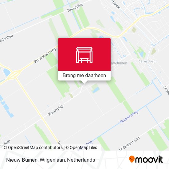 Nieuw Buinen, Wilgenlaan kaart