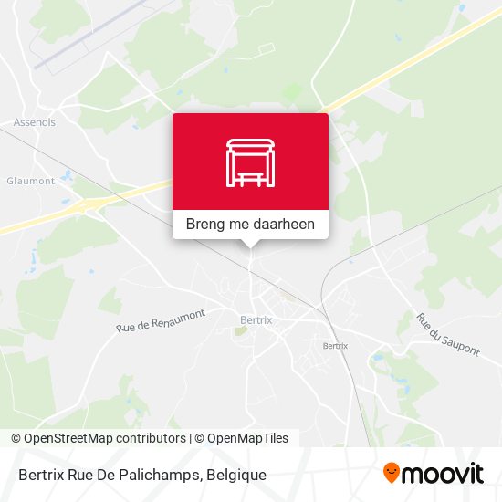 Bertrix Rue De Palichamps kaart