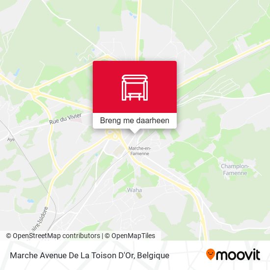 Marche Avenue De La Toison D'Or kaart