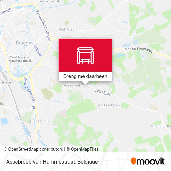 Assebroek Van Hammestraat kaart
