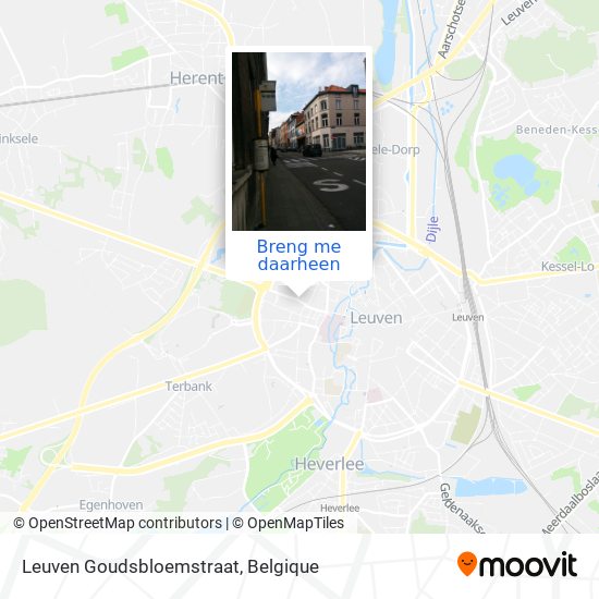 Leuven Goudsbloemstraat kaart