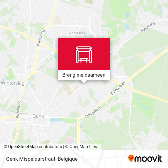 Genk Mispelaarstraat kaart